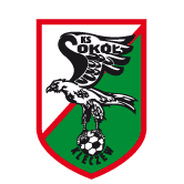 https://img.315xs.com/img/football/team/e6a8908dd206e2ea02d9803c82c60bba.png